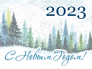 С Новым 2023-м годом!